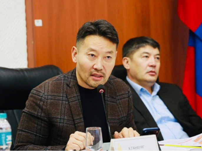 Шадар сайд 21 аймгийн удирдлагуудад үүрэг өгч, улсын нөөцөөс дэмжлэг үзүүллээ